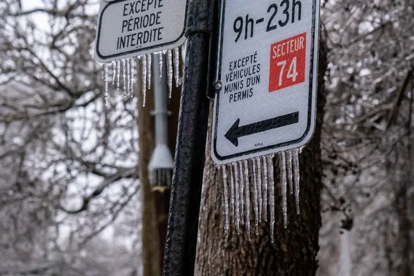 Montreal Canada Квітня 2023 Дорожній Знак Бурульками — стокове фото