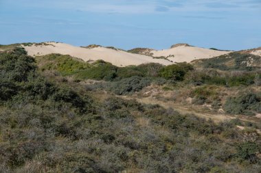 Fransa 'nın Hauts de France bölgesindeki Dunes de la Slack