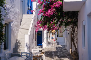 Naousa, GR - 2 Ağustos 2023: Cyclades 'de bougainvillea ile tipik bir çakıl taşı caddesi