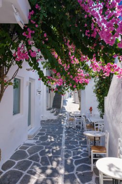 Naousa, GR - 2 Ağustos 2023: Cyclades 'de bougainvillea ile tipik bir çakıl taşı caddesi