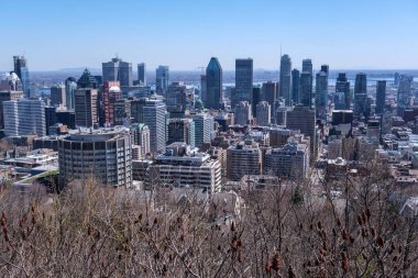 Montreal, Canada - 25 April 2024: Montreal Skyline in spring from Kondiaronk Belvedere clipart