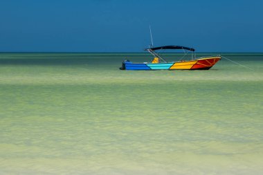 Canlı bir tekne, Isla Holbox kıyısındaki açık ve sığ Karayip sularında sessizce yüzer..