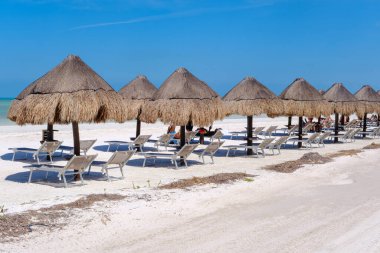 Palapalar serisi, Meksika Holbox Adası 'ndaki Punta Sivrisineği yakınlarında turkuaz denize bakan şezlonglar..