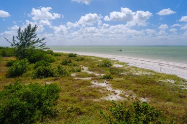 Holbox 'ta manzaralı bir sahil manzarası, bitki örtüsü, beyaz kum ve bulutlu bir gökyüzünün altındaki okyanus..