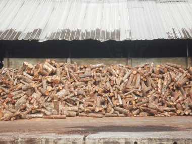 Bir yığın mangrov ağacı. Kömür yapımında kullanılır..
