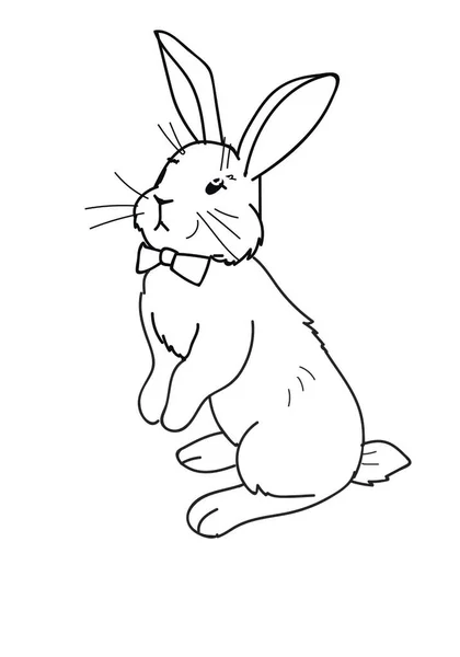 Bunny Outline Rabbit Linear Painting Monochrome Rabbit Silhouette Coloring Easter — Vetor de Stock