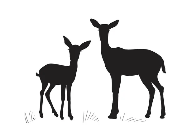 羚羊的黑色轮廓 雌性山羊座 白背羚羊卡通动物设计平面矢量图解 — 图库矢量图片