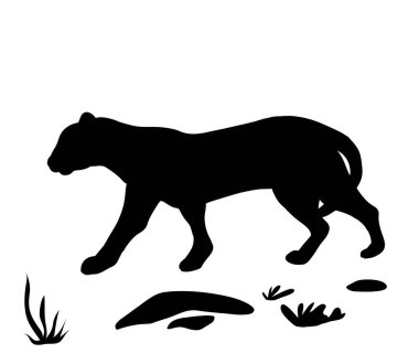 Leopar Silueti Vektör Görüntüsü. clipart. izole