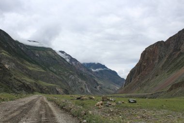 Dağlardaki toprak yolda, bir noter tarafından bakımdan sonra. Yüksek kalite fotoğraf