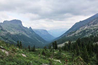Yaz dağı manzarası. Tepeden dağların arasındaki boşluğa bak. Yeşil orman tepeleri. 
