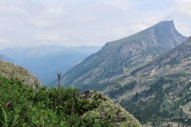 Tepeden Hight Zirvesi 'ne kadar bak. Adı Ejderha Dişi. Yaz dağı manzarası. Ergaki Milli Parkı, Sibirya, Rusya