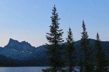 four tops of coniferous trees against the backdrop of a lake and high peaks in the mountains at dusk. Ergaki nature park clipart