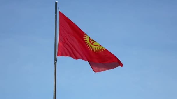 Kyrgyzstan Flag Flutters Blue Sky Video Waving Red Flag Flagpole — Stock Video