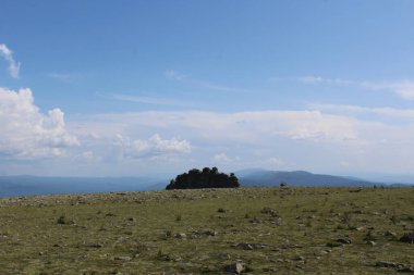 Taşlı yeşil çayır, bulutlu mavi bir gökyüzü ve uzaktaki kayalar. Doğal manzara, yaz günü yürüyüş yapılan turistik yerler. Kuturchinskoye belogorye Krasnoyarsk bölgesi. Sibirya 'da turizm