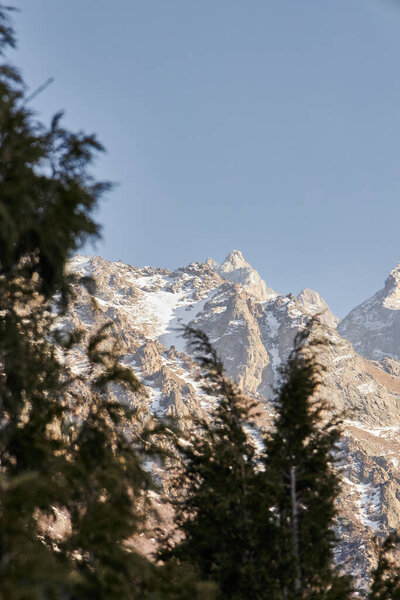 View of a rocky mountain in the snow through the blurred branches of coniferous trees. Peak illuminated by Setting sun, selective focus