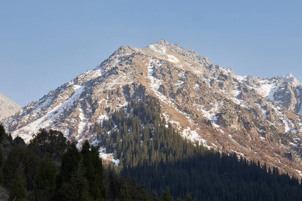 High rocky mountain with snow, illuminated by the warm setting sun. Coniferous forest in the shade. Natural landscape in Ala-Archa National Park in Kyrgyzstan. 