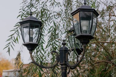 Metal direkte eski tarz el feneri. Parkta ampullü fener, arka planda söğüt ağacı.. 