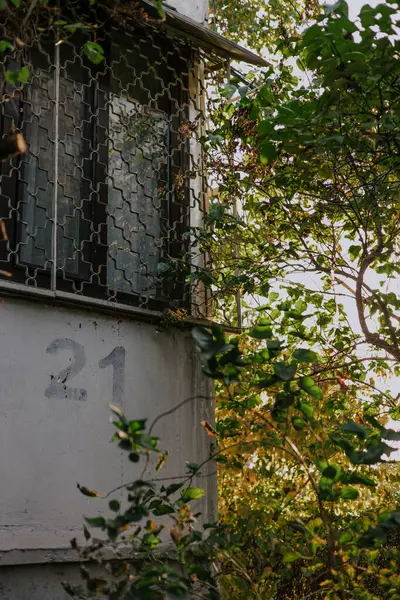 stock image The number twenty one is painted using a stencil on a gray balcony wall below a window with bars. House numbering 21. Corner of a building surrounded by trees and bushes with green foliage. 
