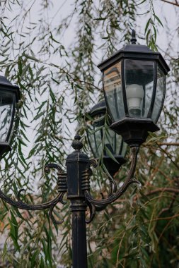Parkta ampullü fener, arka planda söğüt ağacı. Metal direkte eski tarz el feneri