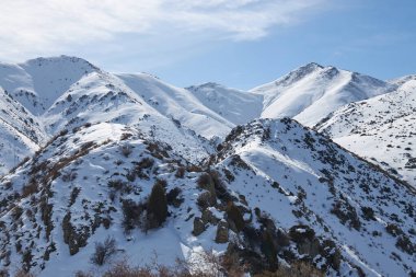 Karlı yamaçlar, küçük çalılar ve alçak kozalaklı ağaçlarla kaplı. Kış dağı manzarası. Kış mevsiminin başlangıcında çok az kar yağar. Kırgızistan dağları.