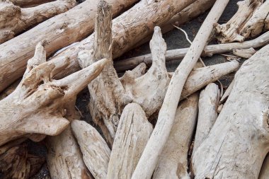 Doğal soyut arka plan, doğa modeli. Düz dallar, ağaç gövdeleri, kütükler üst üste yığılmış, kıyıya vurmuş, dalgalarla kumsala ya da okyanusa taşınmış. Çevre, el yapımı dekorlar, kumsalda kuru ahşap.