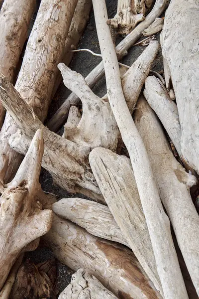 Driftwood Doğal soyut duvar kâğıdı kalıbı. Düz dallar, ağaç gövdeleri, kütükler birikmiş, dalgalar tarafından kumlu deniz okyanusuna taşınmış. Çevre, el yapımı dekorasyon malzemeleri, kuru ahşap plaj.