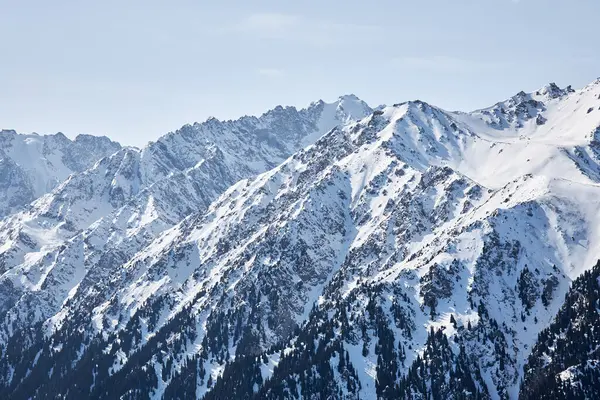 Karakol vadisi manzarası. Kırgızistan dağlarında kış. Dağ sırası, karlı tepeler, orman ve dağlık arazi arasındaki sınır. Doğal manzara arka planı. Orta Asya. 