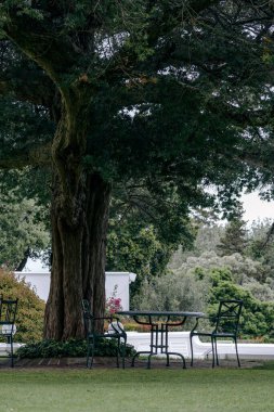 Avludaki büyük bir ağacın dallarının altında, ağaçlar ve çalılarla çevrili. Plastik açık hava mobilyası. Yuvarlak masa ve üç yeşil sandalye. Otel bahçesinde dinlenme alanı