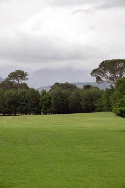 Doğal manzara, otel golf kulübü bölgesi. Yaprak döken ağaçlarla çevrili, biçilmiş çimlerle ekilmiş ideal bir tarla. Bulutlu yaz günü, gri bulutlu gökyüzü. 