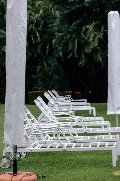 Preparing the hotel area for the summer season, arrangement of outdoor furniture for the relaxation pool area. White plastic sun loungers and umbrellas stand on green lawn. Palm trees