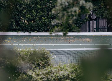 Yeşil tenis kortunun, otel alanının, dağınık tenis sahasının yeşilliklerinden bir göz at.. 