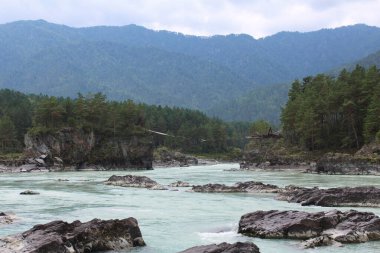 Turkuaz Katun Nehri. Nehir kıyısından eski yıkılmış köprüye kadar. Yüksek kalite fotoğraf