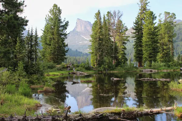 Yüksek dağ zirvesi Zvezdnyy ve sedir ağaçları gölete yansıdı. Ergaki doğa parkı, Krasnoyarsk bölgesi, Sibirya, Rusya. Turistik dağ yolları kavramı. Güneşli bir günde inanılmaz yaz manzarası
