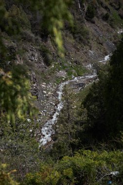 Dar, dolambaçlı akarsu engebeli, dağlık bir araziyi kesiyor. Kayalık kıyılar ve seyrek bitki örtüsüyle çevrili su yolu görüntünün odak noktasıdır. el değmemiş vahşi doğa, dinginlik ve yalnızlık