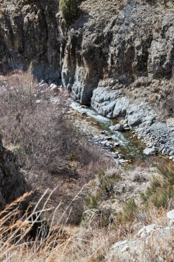 Taşlı ve kayalık yamaçlı güzel renkli küçük bir dağ nehri. Sonbahar doğal manzarası, üst manzara. Ağaç dalları ve yapraksız çalılar. Düşük su seviyesi görünür. Kırgızistan Doğası