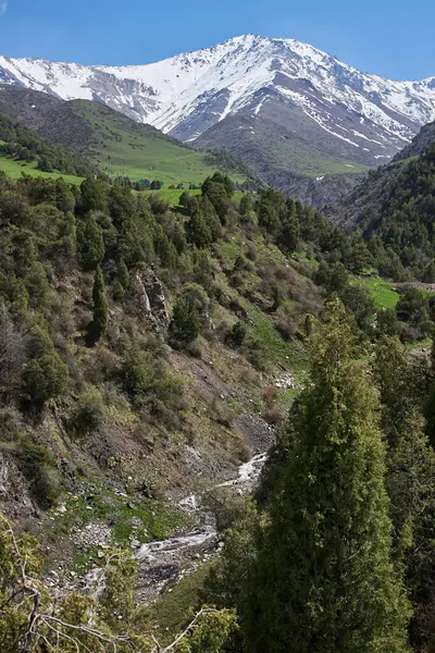 Dağ manzarası, yeşil orman, karşıt ormanlık yamaçlar ve karla kaplı tepeler. Mavi bir gökyüzü ve kayalık bir dere, huzur. Çeşitli dağ manzaralarının bileşimi.