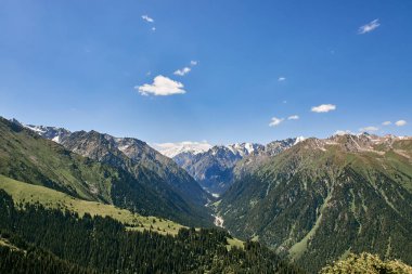 Karakol Boğazı Panoraması. Yaz doğal manzarası. Dağ sırası, yoğun kozalaklı orman ve karla kaplı zirveler. Kırgızistan 'daki Kirgiziya Dağları' na seyahat. Manzara, doğru bakış açısı.