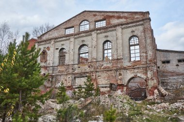 Terk edilmiş tuğla bina. Eski tesisler endüstriyel primler, ağaçlarla dolu Cam Fabrikası alanı, Krasnoyarsk, Hafıza 13 Savaşçıları.