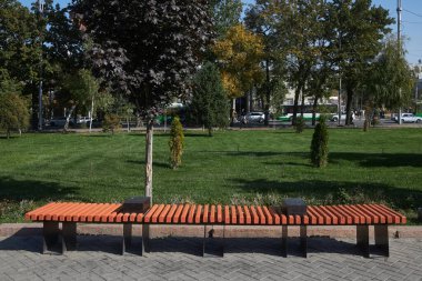Bir şehir parkında, ağaçların, çalıların ve yeşil çimlerin arkasında uzun bir ahşap ve metal bank. eğri büğrü bank, kötü kentsel gelişme ve gelişme