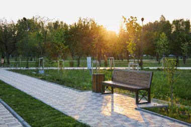 Sakin şehir parkında günbatımı, metal bir çöp tenekesiyle eşleştirilmiş ahşap bank. Güneş batarken ılık bir ışık kareli kaldırımda uzun gölgeler bırakıyor. Çimen ağaçları, huzurlu bir ortam. şehir gelişimi