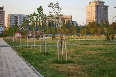 Yeni dikilmiş ağaçları onarmak için tahta takviyesi. Şehir parkı Baytik baatyr Kanai uluu, Bishkek, Kırgızistan.