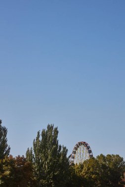 Yeşil ağaçlarla çevrili dönme dolap, Panfilov parkı, Ala-Too Meydanı manzarası. Açık mavi gökyüzü, Bishkek, Kırgızistan