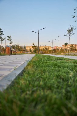 Boş şehir parkındaki çimenlikler, sokak lambaları ve uzaktaki konut binaları. Aşağıdan bak. Çimlerin ve kaldırım yollarının sınırı
