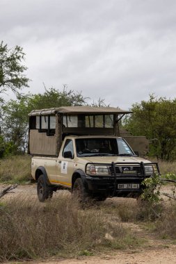 Kruger Ulusal Parkı, açık safari aracı OSV, Nissan NP300 arabası. Savanada seyahat etmek ve vahşi hayvanları gözlemlemek için özel araç. Güney Afrika - 29 Ekim 2023