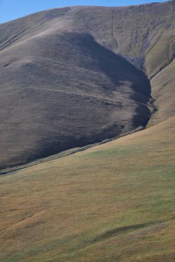 Toprak derisi gibi yuvarlanan çimenli tepeler. açık yeşil ve sarı çimenler 