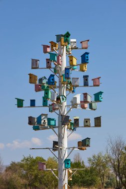 Renkli kuş evlerinden oluşan canlı bir koleksiyon uzun bir direğe tünemiş, sakin bir açık hava ortamının güzelliğini arttırıyor.