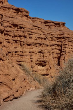 Aşınmış kumtaşı oluşumları, kanyon arka planı. Doğal manzara.