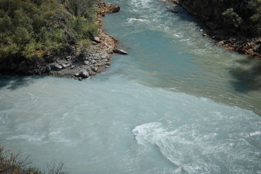Zümrüt yeşili ve turkuaz çamurlu su, nehir kenarı.