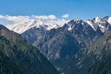 Karakol Boğazı, Kırgızistan. Yaz dağı manzarası, yeşil orman, yüksek dağlar ve karlı zirveler.