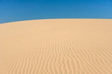 Dalgalı kum tepeciği yakın çekim ve mavi gökyüzü. Çöl doğal manzarası